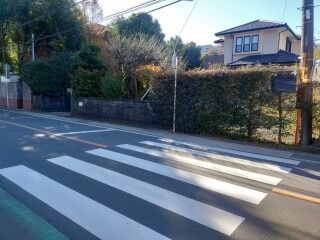 中井町 樹木伐採・塀解体工事　ビフォー