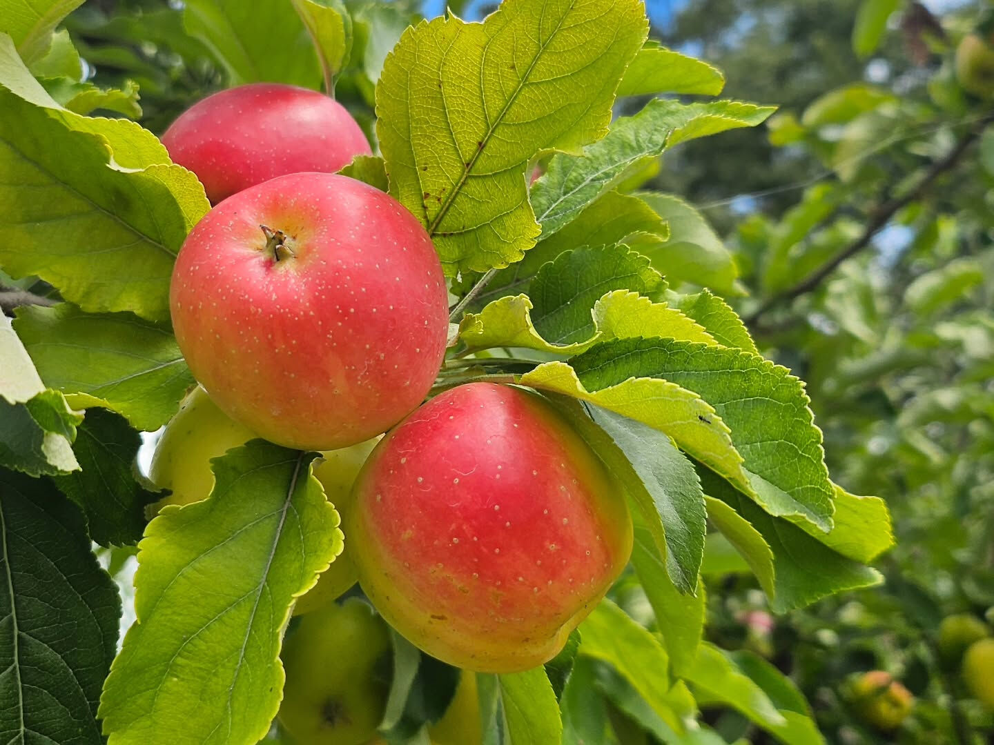 夏のお休み、満喫しました✨ 
