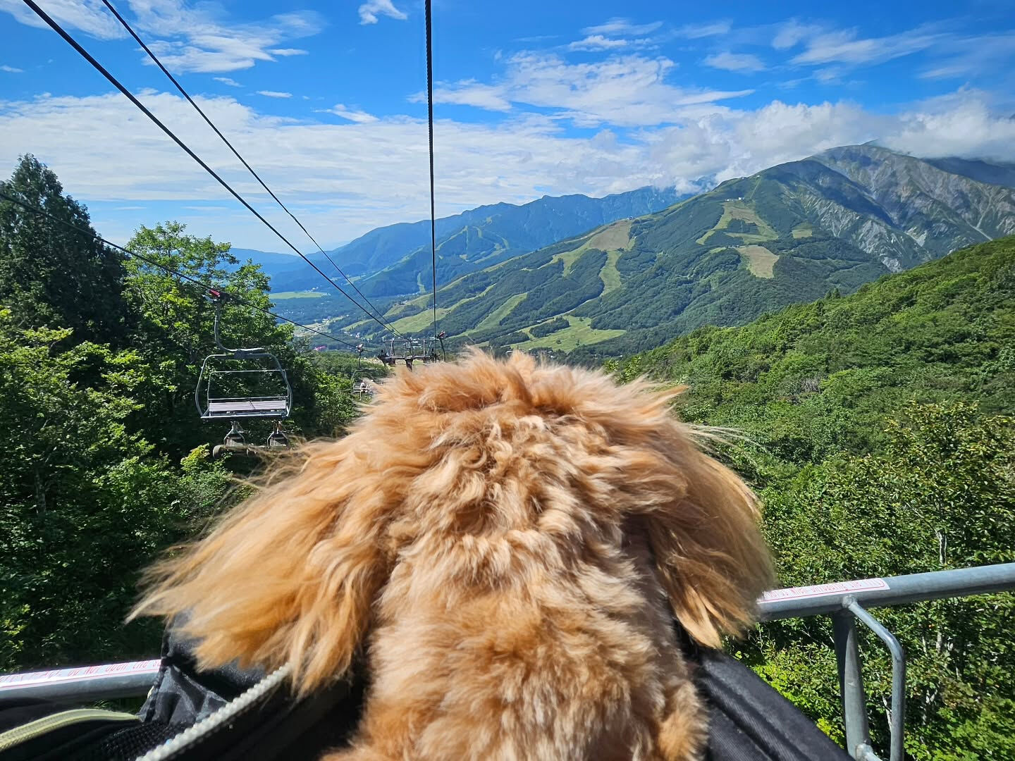 夏のお休み、満喫しました✨ 