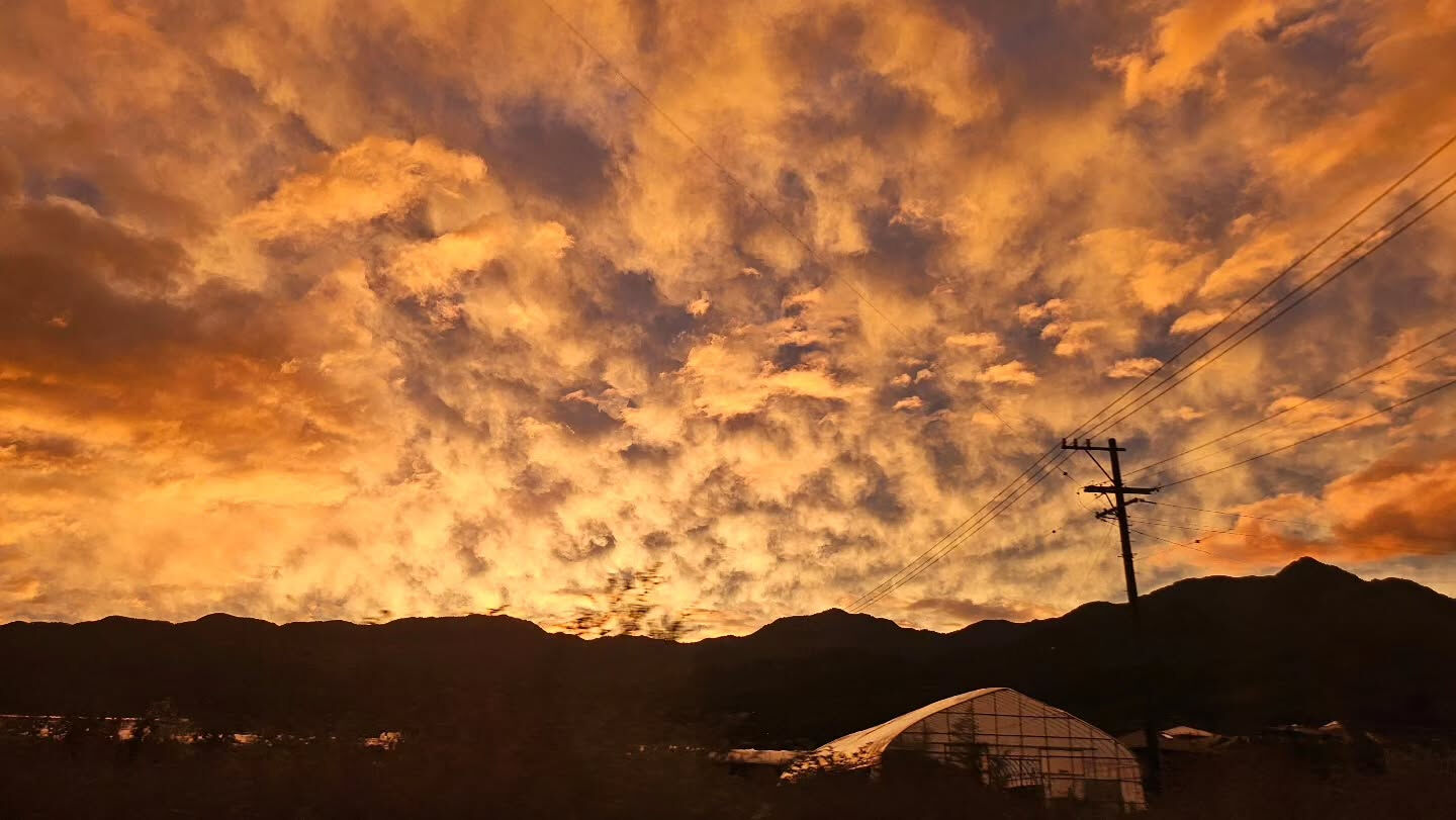とある日の夕方の空、魔法みたいだった🌈⁡